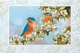 Bluebird Couple Card