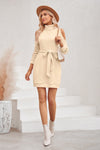 Roll Neck Knit Dress with Cut Out Sleeves